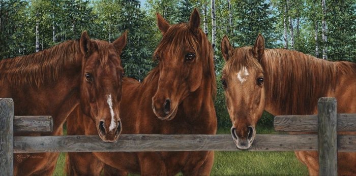 "Commission – For Bill & Esther