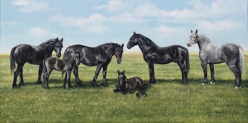 "Commission – Jane & John Doe, 2023"