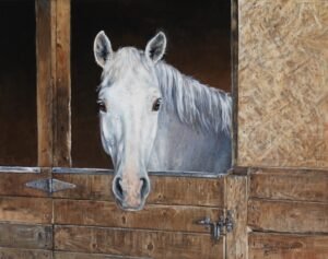 Grey horse looking out from a wooden stable doorway in soft indoor light, original equine painting by Kim Penner.