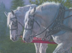 Two grey horses in polished harness under moonlit sky, original equine painting by Kim Penner.