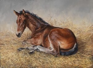 Foal resting in golden straw in a quiet barn setting, original equine painting by Kim Penner.