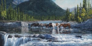 Horses crossing a shallow mountain stream with pine forest and hills at dawn, original equine painting by Kim Penner.