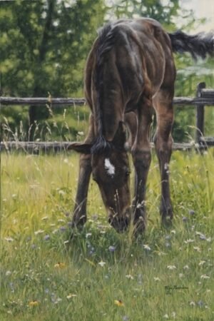 Mare grazing in tall summer grass near a wooden fence, original equine painting by Kim Penner.